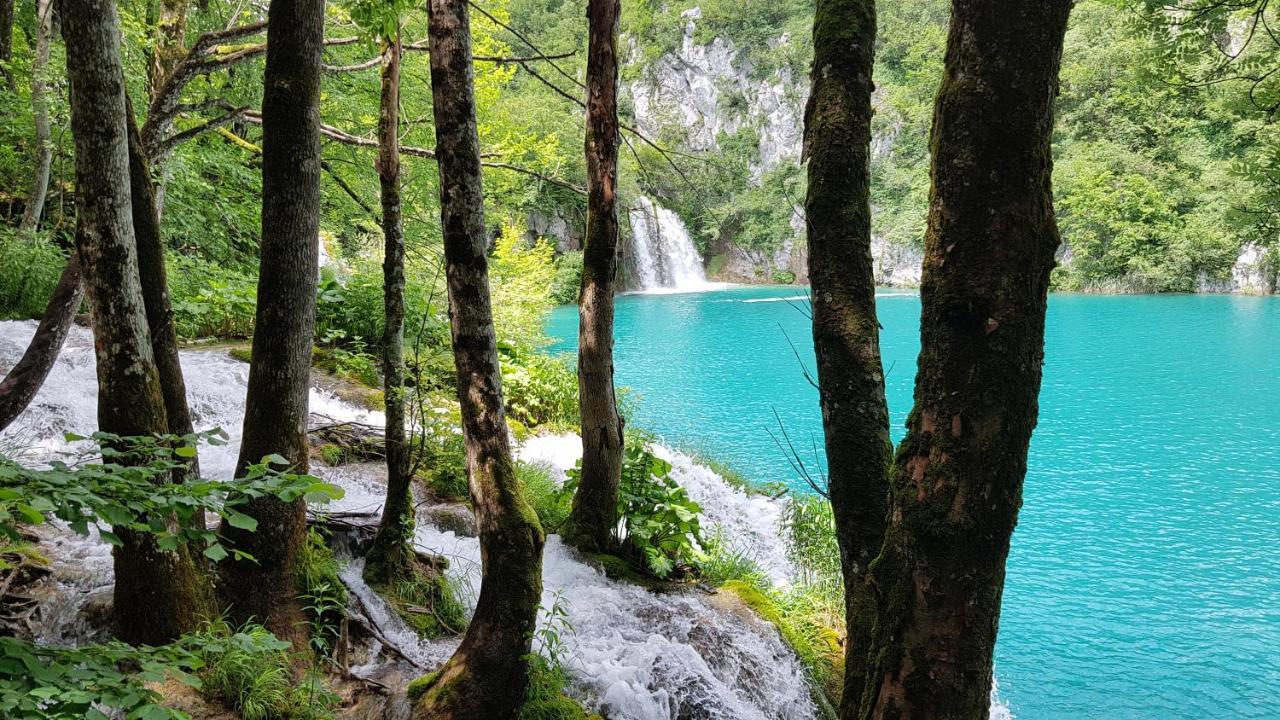 B&B Plitvica Villa Prica Plitvička Jezera Екстериор снимка