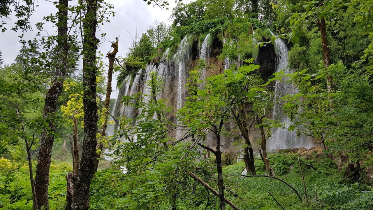 B&B Plitvica Villa Prica Plitvička Jezera Екстериор снимка