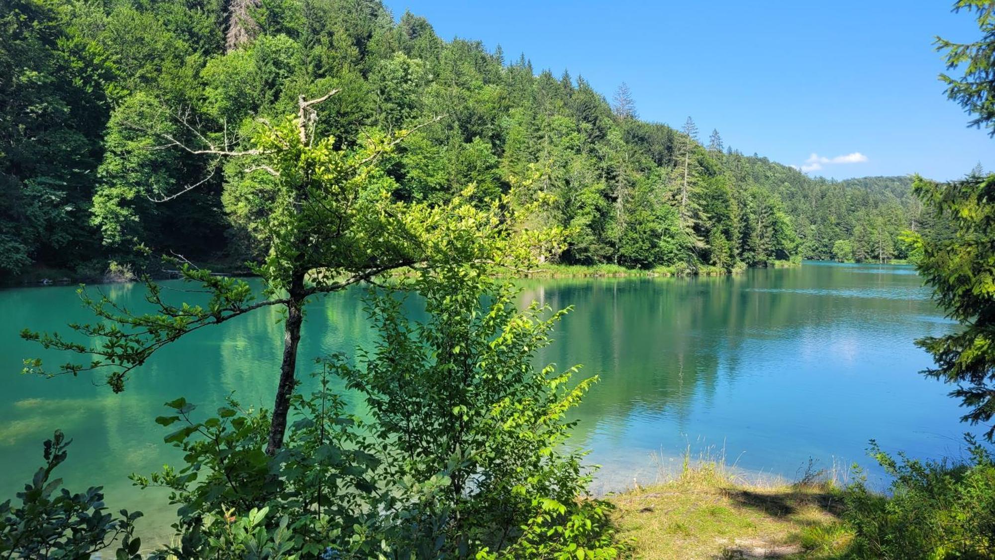 B&B Plitvica Villa Prica Plitvička Jezera Екстериор снимка